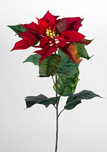 Seidenblumen Roß 12 Stück Weihnachtsstern Natura 72cm samt-rot PM Kunstblumen künstliche Blumen Poinsettie - 2