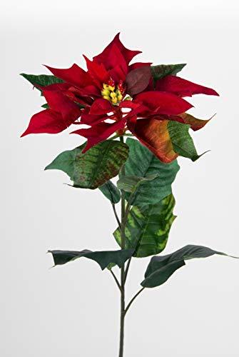 Seidenblumen Roß 12 Stück Weihnachtsstern Natura 72cm samt-rot PM Kunstblumen künstliche Blumen Poinsettie - 1