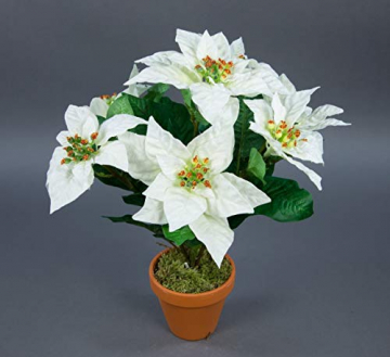 Seidenblumen Roß Weihnachtsstern 42cm weiß im Topf AR künstliche Pflanze Blumen Kunstpflanzen Kunstblumen Poinsettie - 