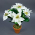Seidenblumen Roß Weihnachtsstern 42cm weiß im Topf AR künstliche Pflanze Blumen Kunstpflanzen Kunstblumen Poinsettie - 