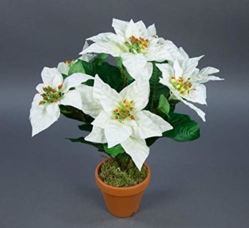 Seidenblumen Roß Weihnachtsstern 42cm weiß im Topf AR künstliche Pflanze Blumen Kunstpflanzen Kunstblumen Poinsettie - 1