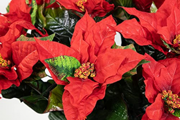 Seidenblumen Roß Weihnachtsstern 65x60cm im Topf rot PM künstliche Pflanzen Blumen Kunstpflanzen Kunstblumen Poinsettie - 