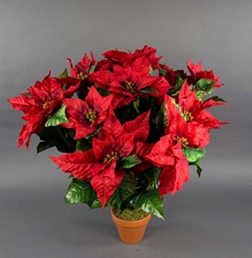 Seidenblumen Roß Weihnachtsstern 65x60cm im Topf rot PM künstliche Pflanzen Blumen Kunstpflanzen Kunstblumen Poinsettie - 1