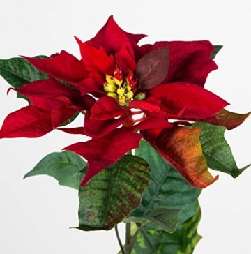 Seidenblumen Roß Weihnachtsstern Natura 72cm samt-rot PM Kunstblumen künstliche Blumen Poinsettie - 2