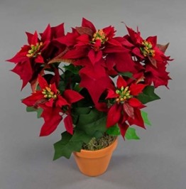 Seidenblumen Roß Weihnachtsstern Nature 38cm samt-rot im Topf PM künstliche Blume Kunstpflanze Kunstblumen Poinsettie - 1