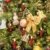 SunJas 20er Rot Weinachten Kerzen Weihnachtsbeleuchtung Weihnachtskerzen mit Fernbedienung kabellos Weihnachtsbaumkerzen 10/20/30/40er - 2