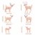 SUPVOX 6pcs White-Tailed Deer Figuren Ornamente Tierfiguren Sammlung Spielzeug Home Office Dekoration Handwerk Geschenk - 2