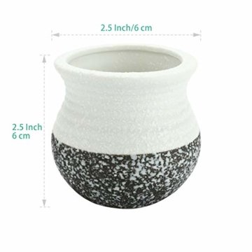 T4U 6cm Japanischer Stil Keramik Sukkulenten Kakteen Töpfe mit Untersetzer 6er-Set, Mini Blumentöpfe für Mini Zimmerpflanzen Moos Bonsai - 2