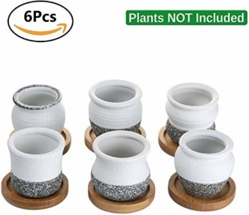 T4U 6cm Japanischer Stil Keramik Sukkulenten Kakteen Töpfe mit Untersetzer 6er-Set, Mini Blumentöpfe für Mini Zimmerpflanzen Moos Bonsai - 3