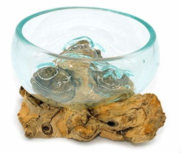 Wurzel mit Glasschale klein Schale Dekoschale Glas auf Holz Durchmesser 12-13 cm Holzdeko Teakholz Deko (Wurzel 13-15 cm) - 2