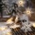 Anyingkai 10 kleine Lämpchen Led Lichtervorhang,Außenlichterkette Dekoration, Lichtervorhang,Led Lichtervorhang für Fenster,Led warmweiß Lichterkette Innen Weihnachten,Led Deko Weihnachten - 1