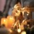 Lareina.C 4er Set Fensterdeko Hängend Fensterlicht mit Saugnapf LED Warm Weiß Batteriebetrieb Weihnachtsbeleuchtung Weihnachtsmann Weihnachtsbaum Stern Schneeflocke für Weihnachtsdeko (Xmas Set B) - 4