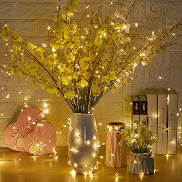Erchen Strom-betrieben LED Lichterkette, 165 FT 500 LED 50M Stecker dimmbare Kupfer Draht Lichterketten mit 12V DC Adapter Fernbedienung für Innen Außen Weihnachten Party (warmweiß) - 2