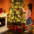 Baummantel Christbaumbeleuchtung mit 10 * 28 LED, Lichterkette Baumbeleuchtung mit Ring, IP44 Spritzwassergeschützt, Außen und Innen Lichterkette für 180CM-250CM Weihnachtsbaum (warm weiße) - 2