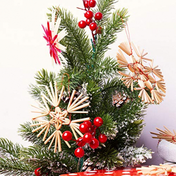 Herefun 24 Weihnachtsbaumschmuck aus Stroh Set es Gibt Sechs Arten von Grafiken, Strohsterne für den Weihnachtsbaum, Stroh Baumbehang mit Roten Akzenten Christbaum Anhänger Strohsterne Baumschmuck - 3