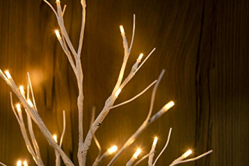 Hypestar Dekoratives Lichterbaum | Leuchtbaum mit 24 Warmweißer LEDs Licht | 45cm Lichterzweige für Tischdekoration | Zeitschaltuhr USB und Batterien | Weihnachten Ostern Party Innendeko (24led Weiß) - 2