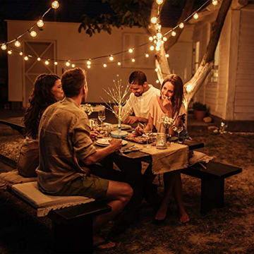 Hypestar Dekoratives Lichterbaum | Leuchtbaum mit 24 Warmweißer LEDs Licht | 45cm Lichterzweige für Tischdekoration | Zeitschaltuhr USB und Batterien | Weihnachten Ostern Party Innendeko (24led Weiß) - 6