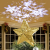 KPCB Weihnachtsbaum Stern,Christbaumspitze Stern Tannenbaum Spitze Mehrfarben LED für Feiertags-Dekorationen - 1