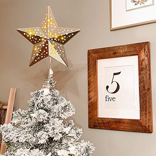 dünn Gegenüber Vergleich spitze weihnachtsbaum Skelett Schleier verhindern