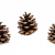 NaDeco Tannenzapfen ca. 5-6cm 1kg Pinus nigra Schwarzkiefern Zapfen Kiefernzapfen Tannen Zapfen Naturzapfen Weihnachtsdeko Adventsdeko - 3