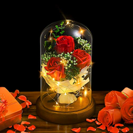 Shirylzee Rose im Glas Ewige Rose Glas Licht Künstliche Rose mit LED-Licht in Glaskuppel, Romantisch Dekoration Geschenk zum Muttertag Valentinstag Jubiläum Geburtstag Hochzeit Weihnachten (Rot) - 1