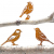 Rost Deko Set 3 Vögel Made in Germany mit Schraube 15-28cm rost deko für Garten oder Holz-Zaun, Rostdeko, Edelrost Gartendeko, Metall Vogel, Gartendeko Rostoptik, - 1