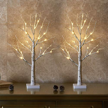 EAMBRITE 2er Set Lichterbaum Lichterzweige für Innen 24 Warmweiß LEDs Bäumchen Birken Dekozweige Batteriebetrieb Weihnachtsdeko für Zuhause Party Geburtstag Hochzeit Innendekoration (60cm/2ft) - 1