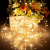 LED Lichterkette,Sunniu 1 Pack 5M 50 Micro LEDs Lichterketten Kupfer Draht Batteriebetrieben Wasserdichte Lichter für Party,Garten,Weihnachten,Halloween,Hochzeit,Beleuchtung,Zimmer Dekoration Warmweiß - 3