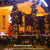 PhilzOps 300 LED Weihnachten Lichterkette, 30M Warmweiß Lichterkette Innen Außen IP44 Wasserfest 8 Modi Beleuchtung für Xmas Hochzeit Party Haushalt Zimmer Garten Baum Deko, Grüner Draht - 3