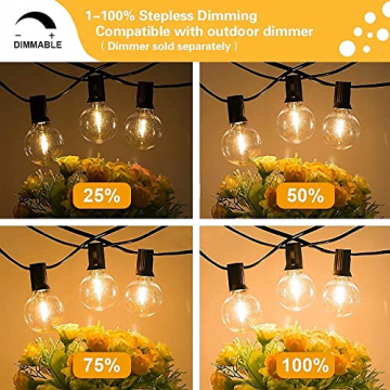 Svater Lichterkette Außen,7.6m 23 Glühbirnen LED G40 Glas Bulbs Garten Lichterkette Terrasse außerhalb,IP44 Wasserdichte Retro Beleuchtung für Innen/Außen Lichterketten,Party,Hochzeit,Weihnachten - 5