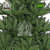 Original Hallerts® Spritzguss Weihnachtsbaum Bolton 180 cm als stufige Edeltanne - Christbaum zu 100% in Spritzguss PlasTip® Qualität - schwer entflammbar nach B1 Norm, Material TÜV und SGS geprüft - Premium Spritzgusstanne - 3