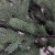 RS Trade HXT 1418 künstlicher PE Spritzguss Weihnachtsbaum 240 cm (Ø ca. 147 cm) mit ca. 6980 Spitzen, schwer entflammbarer Tannenbaum mit Schnellaufbau Klappsysem, inkl. Metall Christbaum Ständer - 4