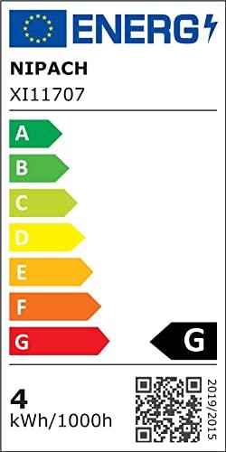 Nipach GmbH Schwibbogen aus Holz braun 10 LED - Leuchtfarbe: warm-weiß Leuchtbogen Lichterbogen Rundbogen Adventsleuchter Weihnachtsbeleuchtung Weihnachtsdeko - 5