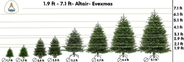 EveXmas- Altair -95cm- Hochwertiger künstlicher Weihnachtsbaum – Einfach zu montieren Wunderschöne Baumspitzen aus 100% PE - Sehr natürlich aussehender Baum - 6