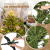 KADAX Weihnachtsbaum, künstlicher Christbaum 180 aus PE- und PVC-Kunststoff, Fichte mit Kunststoffständer, Ø ca. 120 Baum mit 68 Zweigen und 15 Baumkronen, Weihnachtsdekoration (Mondnacht 180cm) - 3