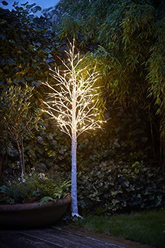Northpoint LED Lichtbaum Baum Weihnachtsdeko Indoor & Outdoor | Birkenoptik | 120cm | 120 warmweiße LEDs | inkl. Timer - 6